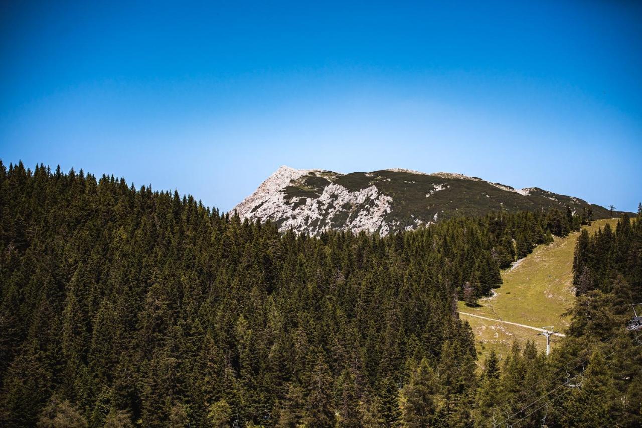 Zvoh, Krvavec, Ski-in, Ski-out * Cerklje na Gorenjskem