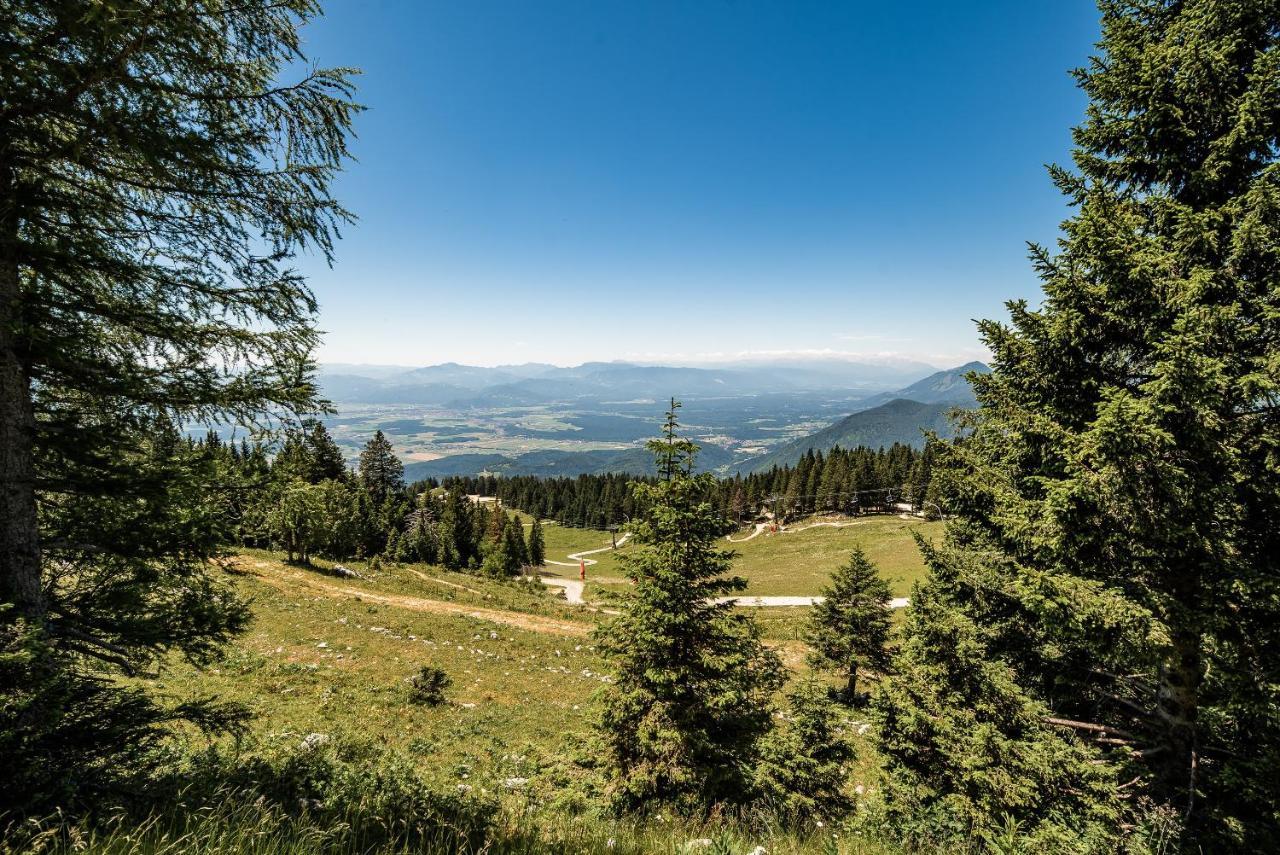 Zvoh, Krvavec, Ski-in, Ski-out Apartment Cerklje na Gorenjskem