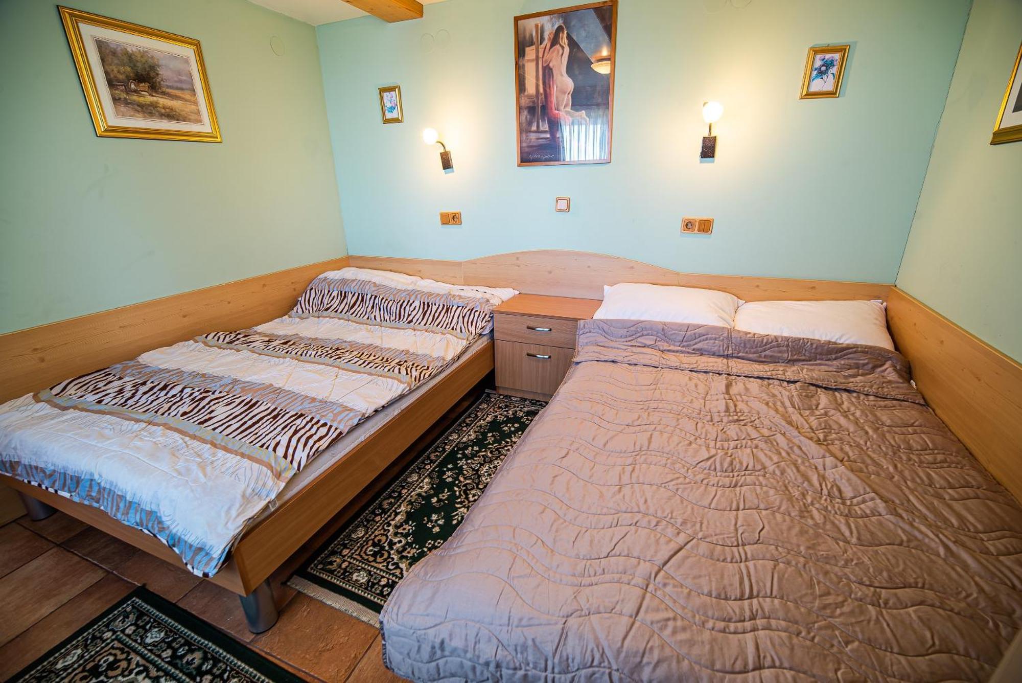 Zvoh, Krvavec, Ski-in, Ski-out Apartment Cerklje na Gorenjskem